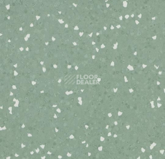 Линолеум Forbo Sphera Sd 550050 olive фото 1 | FLOORDEALER